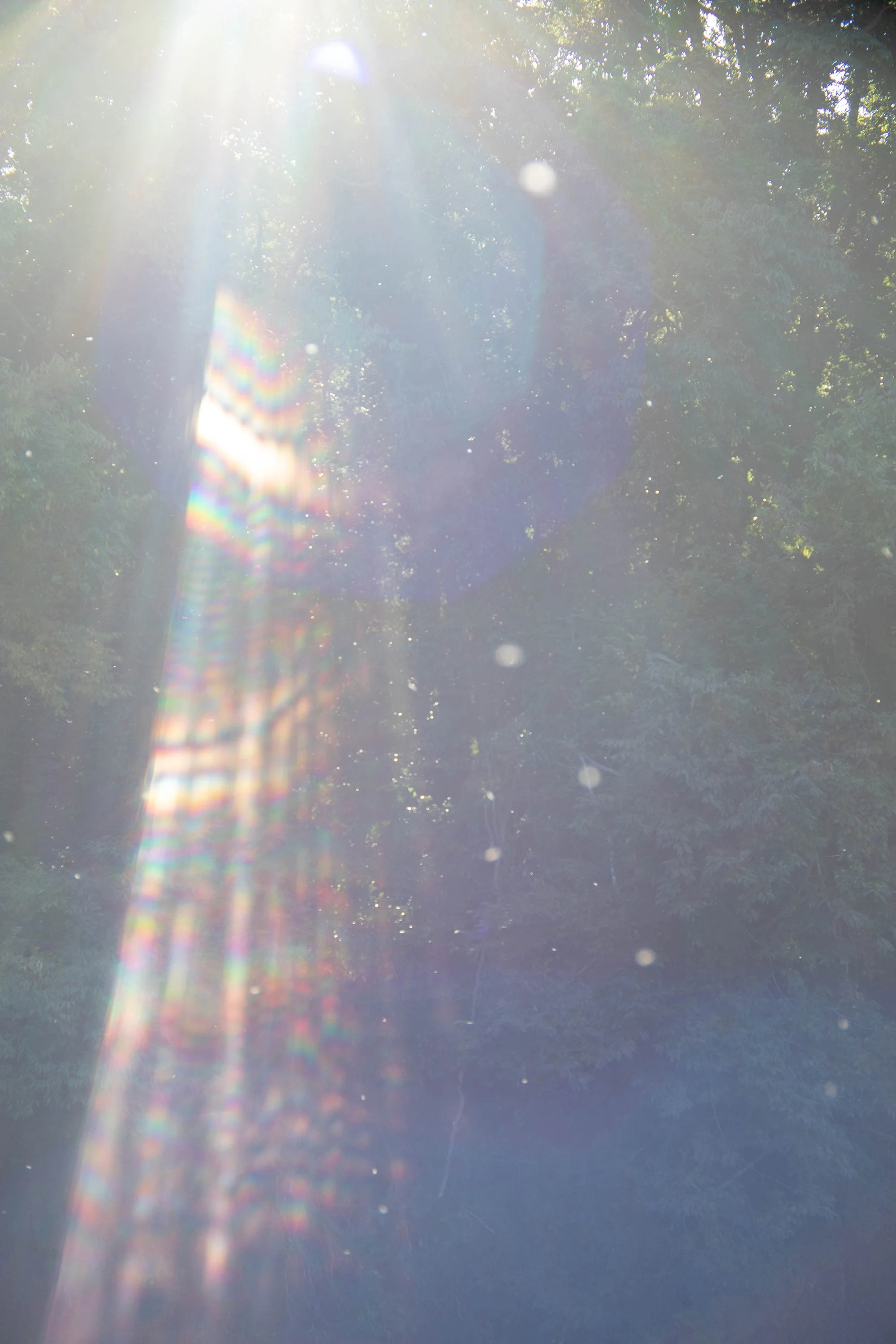 © 2026 Rinko Kawauchi