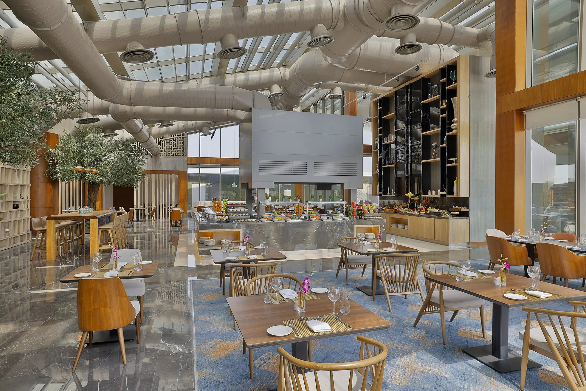 Olive Tree rest..jpg