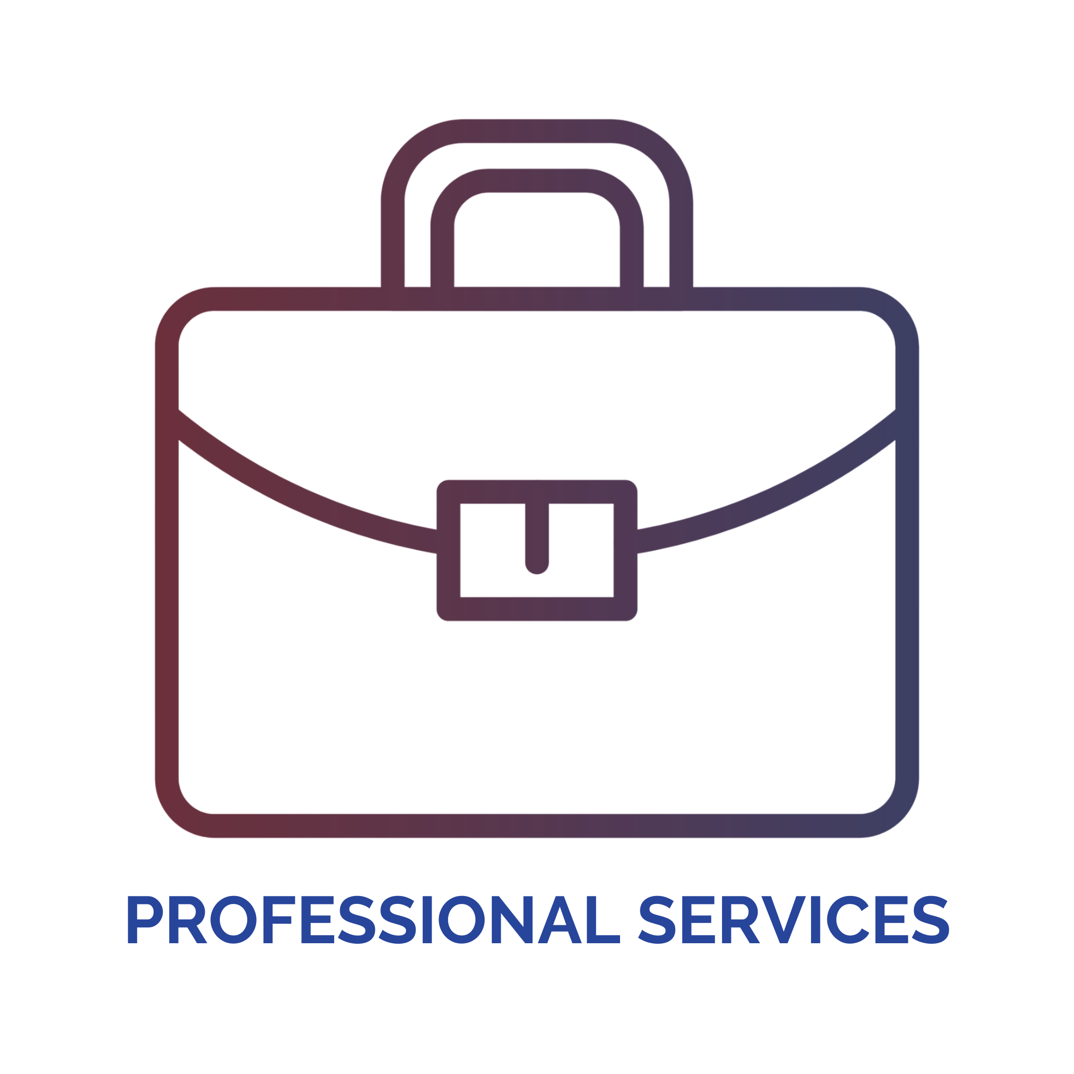 Professional Services Icon Colored.png