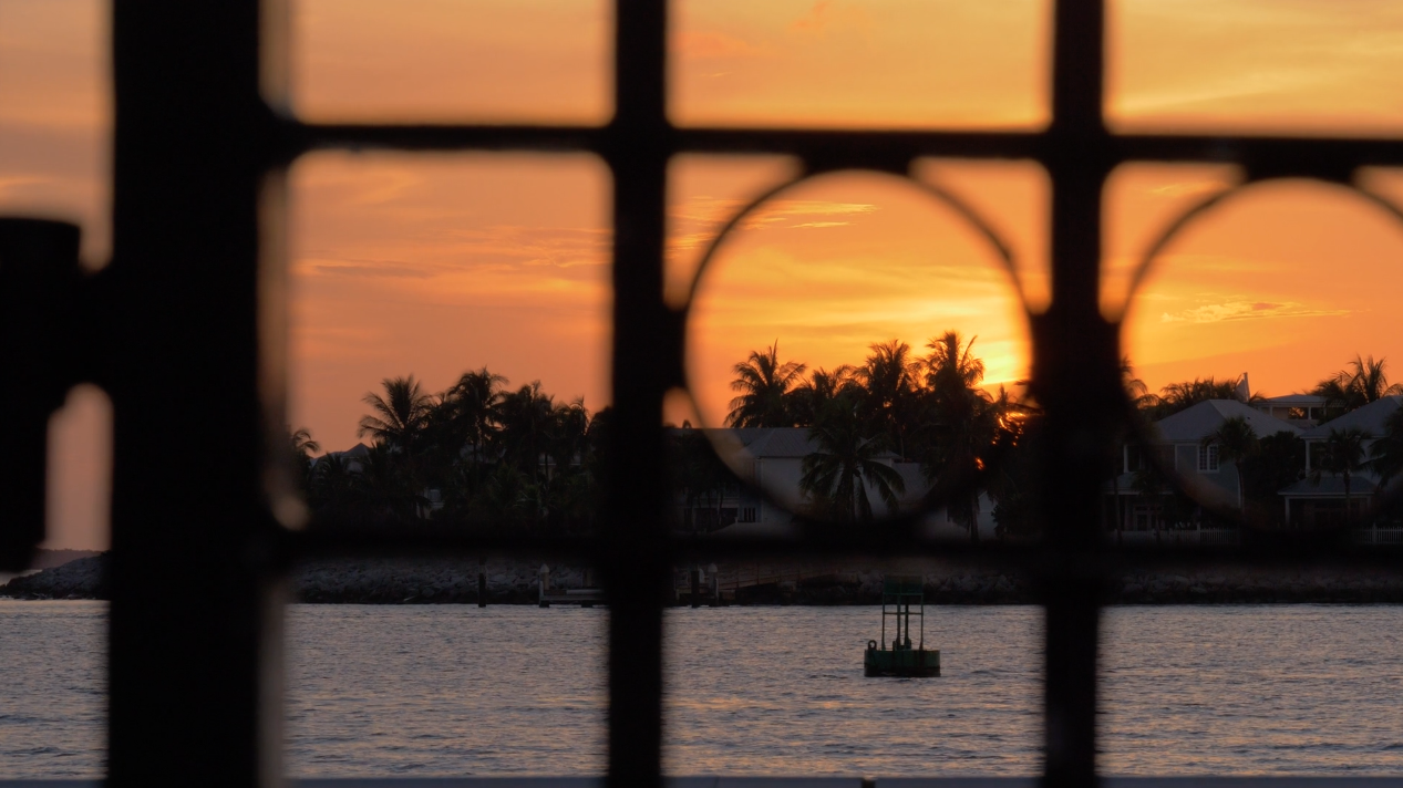 Screen Shot 2020-12-24 at 12.56.38 AM.png