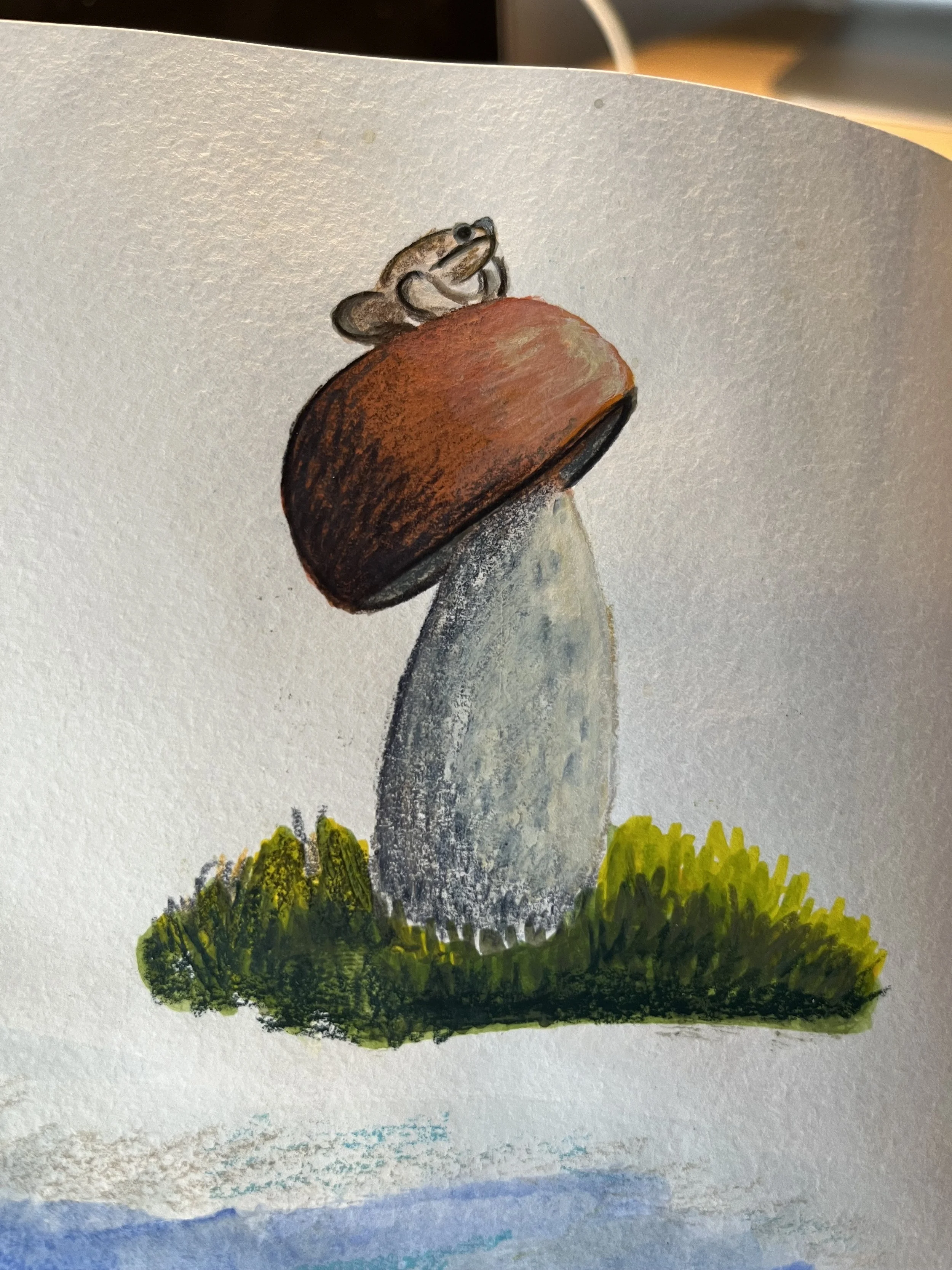 Gouache og fargeblyanter