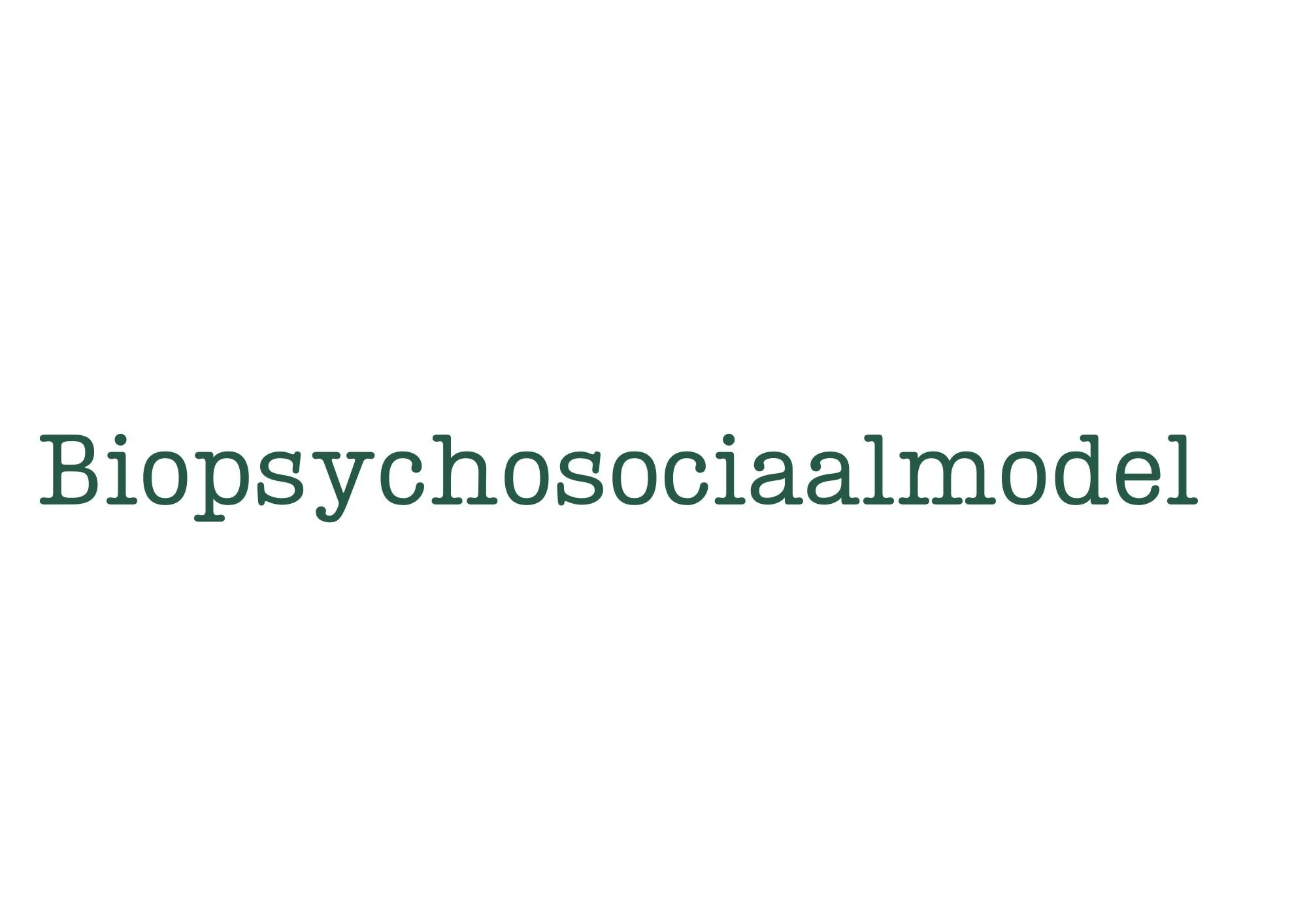 biopsychosociaalmodel.jpg