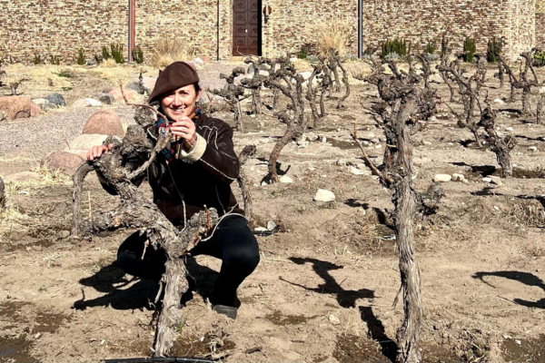 Dr Laura Catena with transplanted old vines growing on limestone soils and optimal sunlight