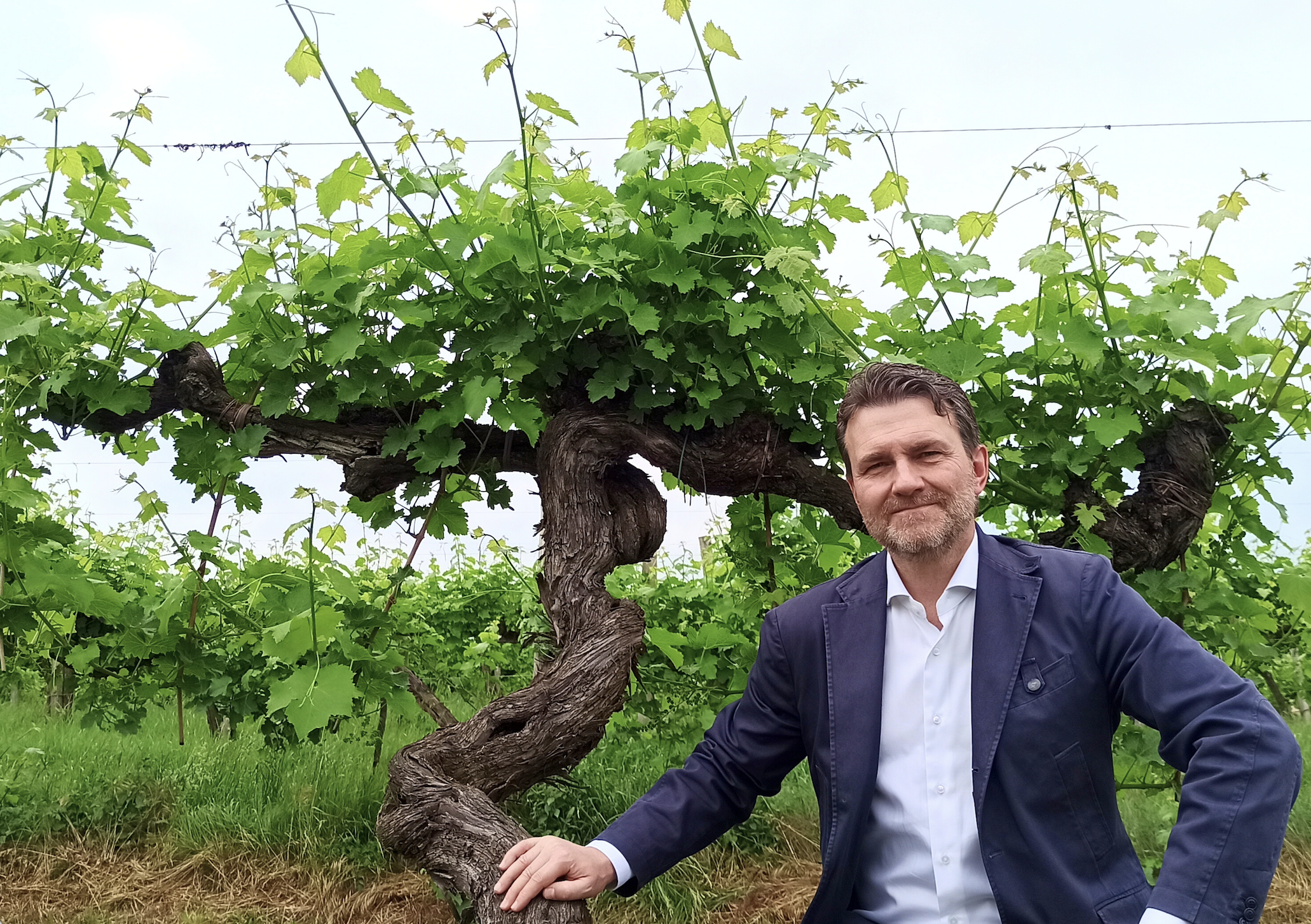 Villa Bogdano, Veneto, Italy