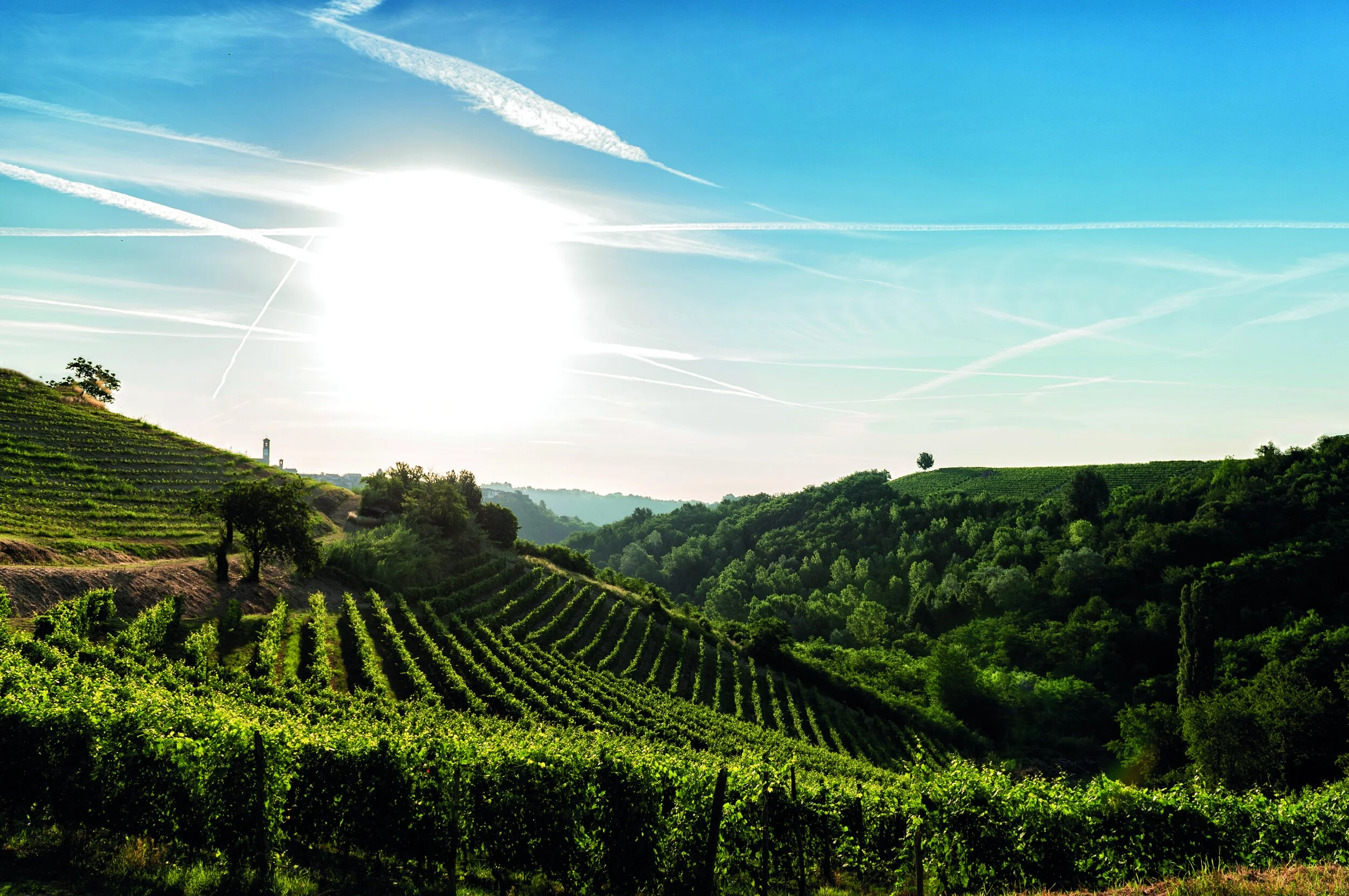 Vinchio Vaglio, Piedmont, Italy