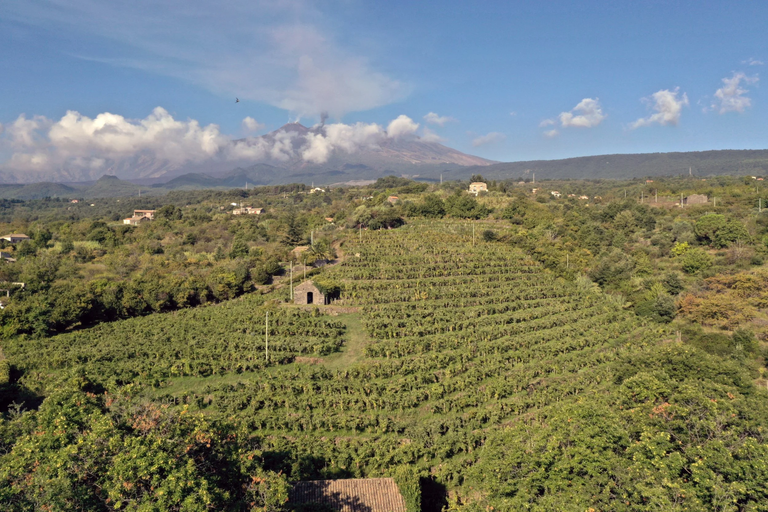 I Custodi, Etna, Sicily