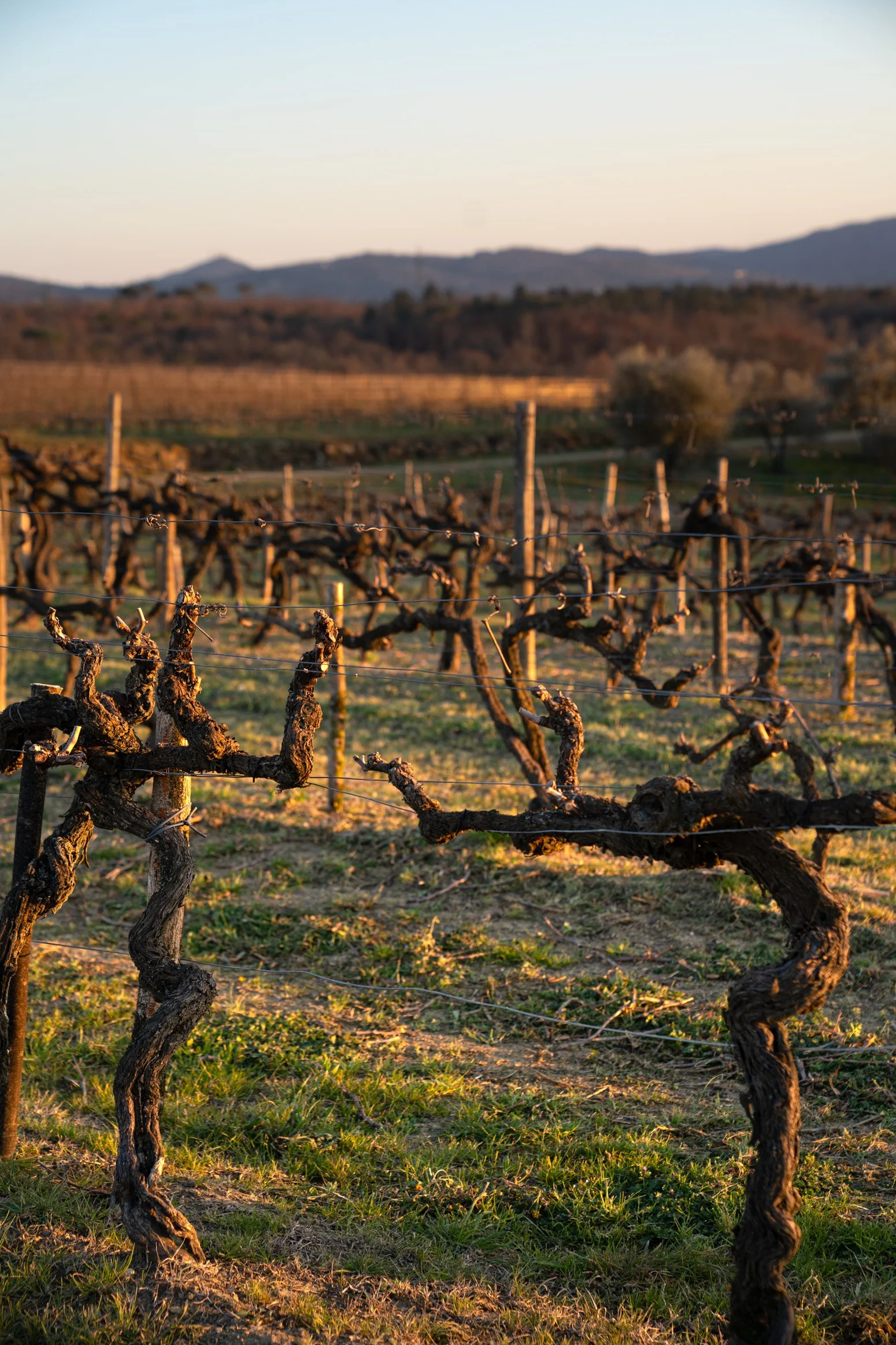 Tenuta Sette Ponti, Tuscany, Italy