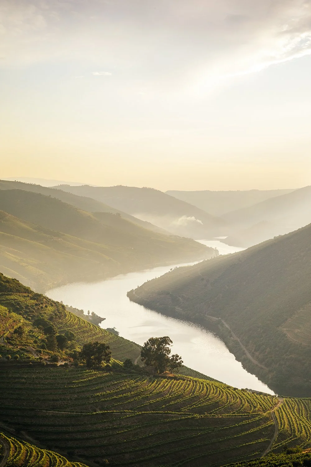 Van Zellers &amp; Co., Douro, Portugal