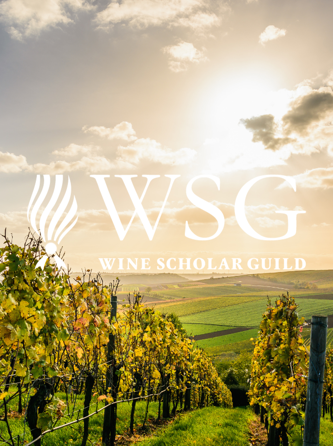 Wine Scholar Guild
