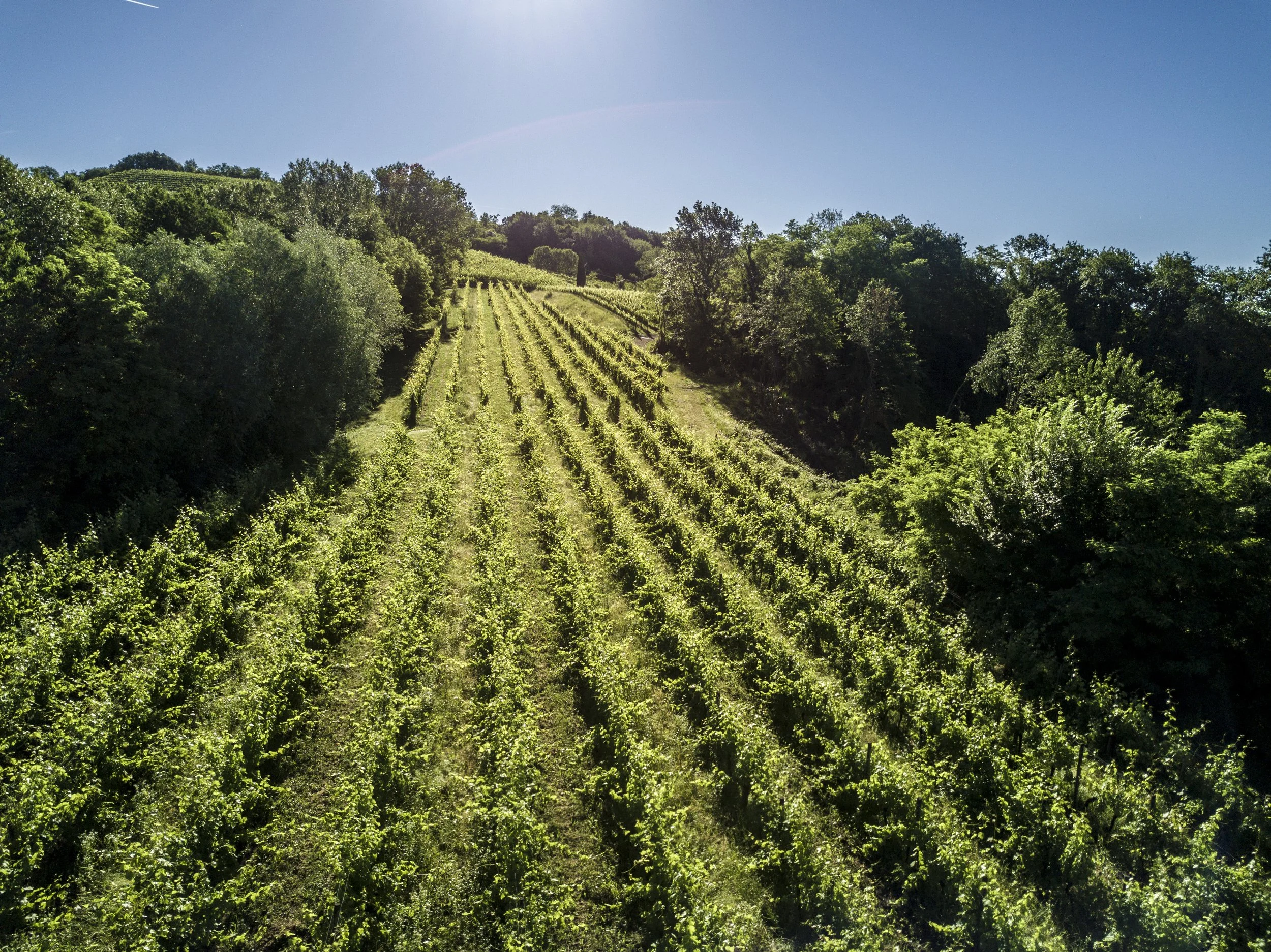 Aquila del Torre, Italy