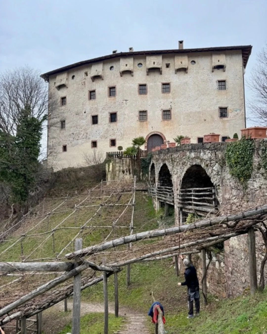 Hidden in the stunning Dolomite mountains, @castel_katzenzungen is more than a Renaissance castle &mdash; it&rsquo;s home to one of the world&rsquo;s oldest grapevines.

This extraordinary vine, called Versoaln, is scientifically dated to be over 350