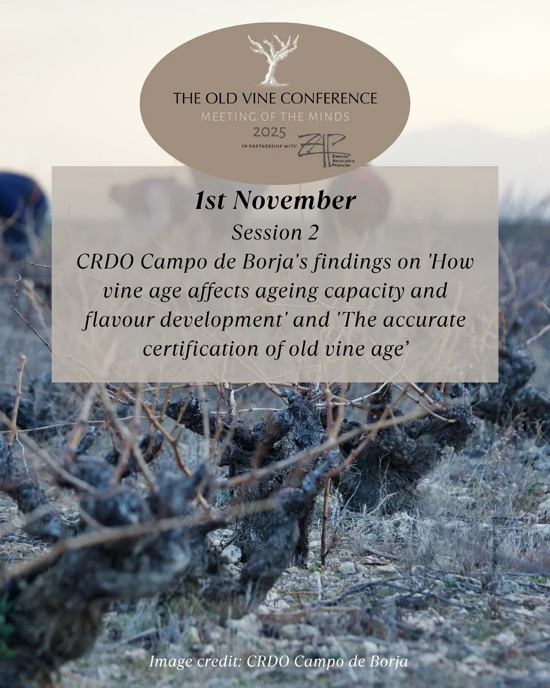 🕚 ✨ 1st November, 11:15 AM PDT &ndash; Technical Briefing

How does vine age shape flavour, ageing potential, and authenticity? 🍇✨

Join us for a deep dive into groundbreaking research from CRDO Campo de Borja, presented by Jos&eacute; Ignacio Grac