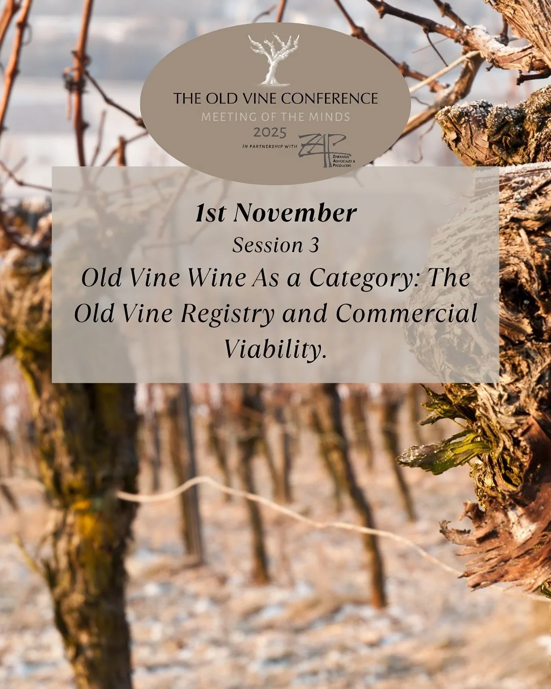 🕚 November 1st, 11:45 AM &ndash; Category Development

Old Vine Wine As a Category: The Old Vine Registry and Commercial Viability.

Can old vine wines stand as a category of their own? 🍷🌿

This panel will explore the path to making old vine wines
