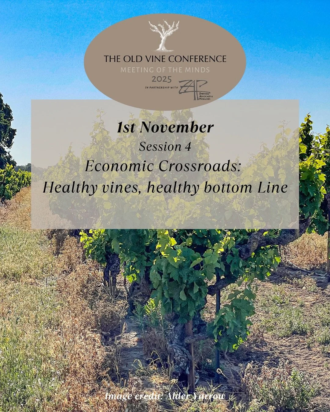 💼 1st November, 1:30 PM PDT &ndash; Business Focus Session 

Economic Crossroads: Healthy Vines, Healthy Bottom Line 🌿💰

What does it really take to sustain California&rsquo;s old vines in today&rsquo;s market? This session uncovers the economic r