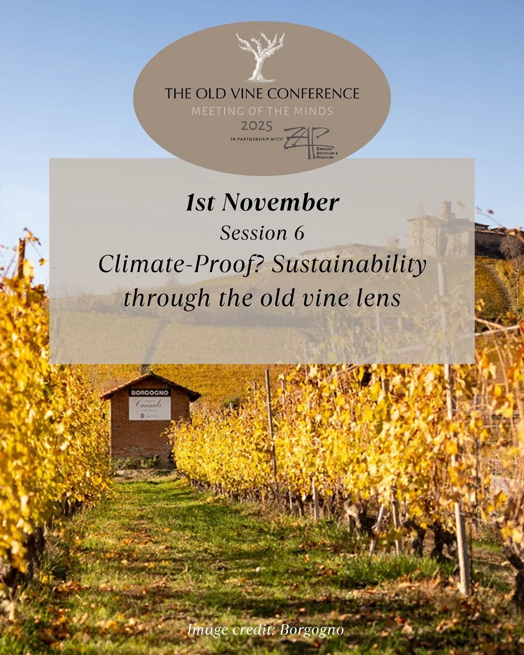 🌍 1st November, 3:15 PM PDT&ndash; Sustainability
Climate-Proof? Sustainability through the Old Vine Lens 🌿♻️

What can the resilience of old vines teach us about adapting to climate change? This session explores how heritage vineyards offer vital 