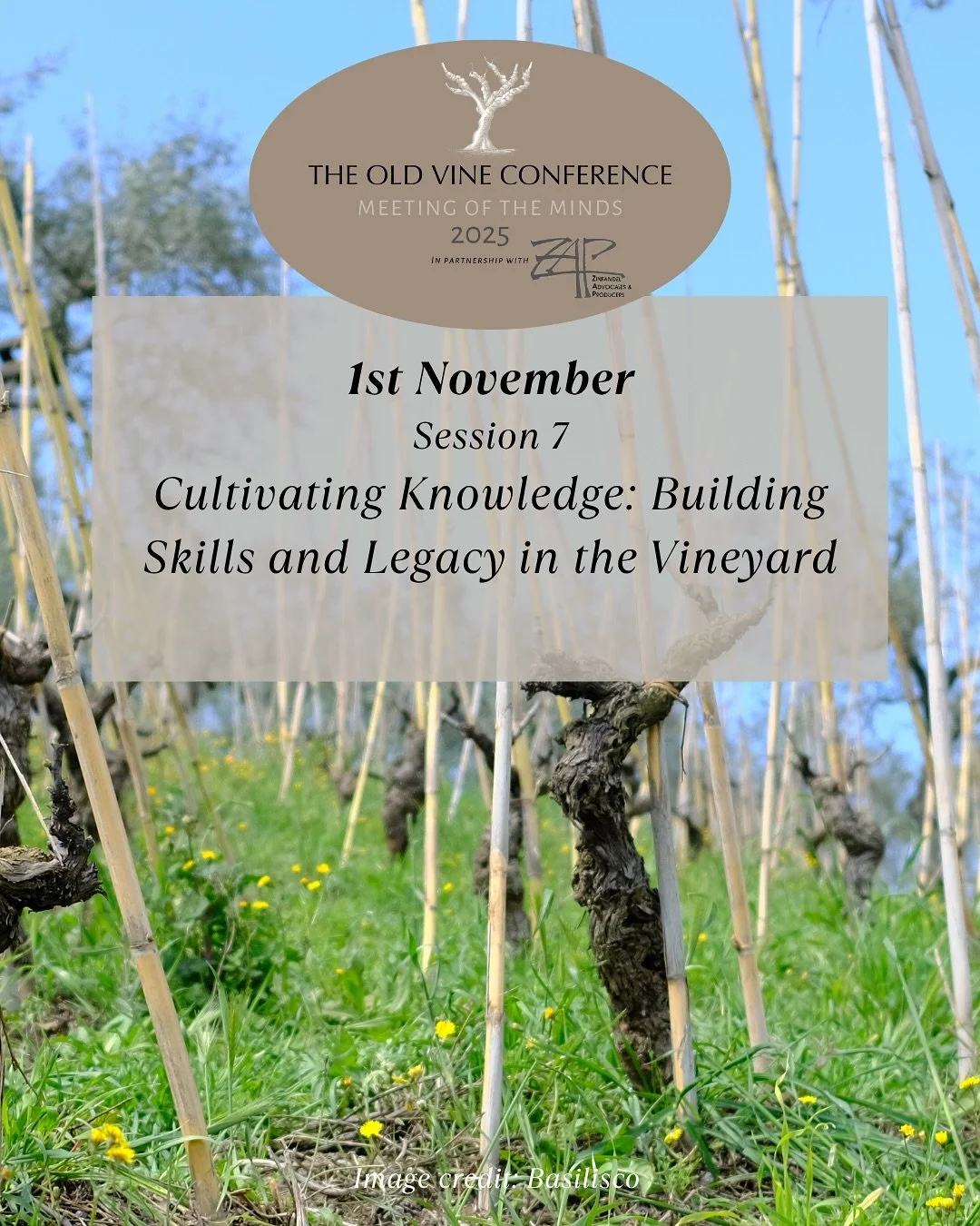 1st November , 4:15 PM PDT &ndash; Conference session on Cultivating Knowledge: Building Skills and Legacy in the Vineyard 🍇✨

How do we empower the next generation to care for and carry forward old vine vineyards? This session explores the role of 