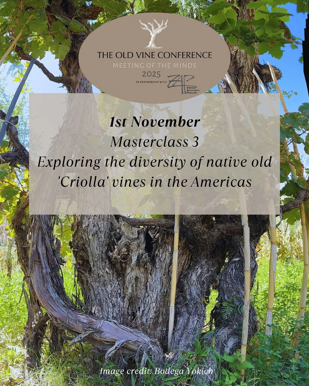 🌎 1st November, 5.20pm PDT , Hyatt Regency, Santa Rosa

Masterclass Criolla

Exploring the Native Old &lsquo;Criolla&rsquo; Vines of the Americas 🍇✨

Hosted by @amanda_wine MW, this masterclass uncovers the forgotten roots of American viticulture. 