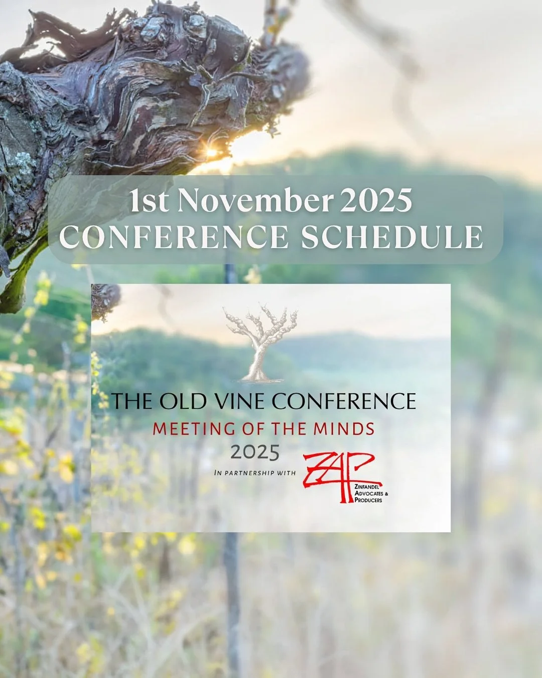 🍇 Day 1 of OVC2025 - 1st November: The Conference Begins!

A day dedicated to ideas, innovation, and collaboration &mdash; from the Opening Plenary and Technical Briefing to sessions on Business, Marketing, Sustainability, and Stewardship.

The day 