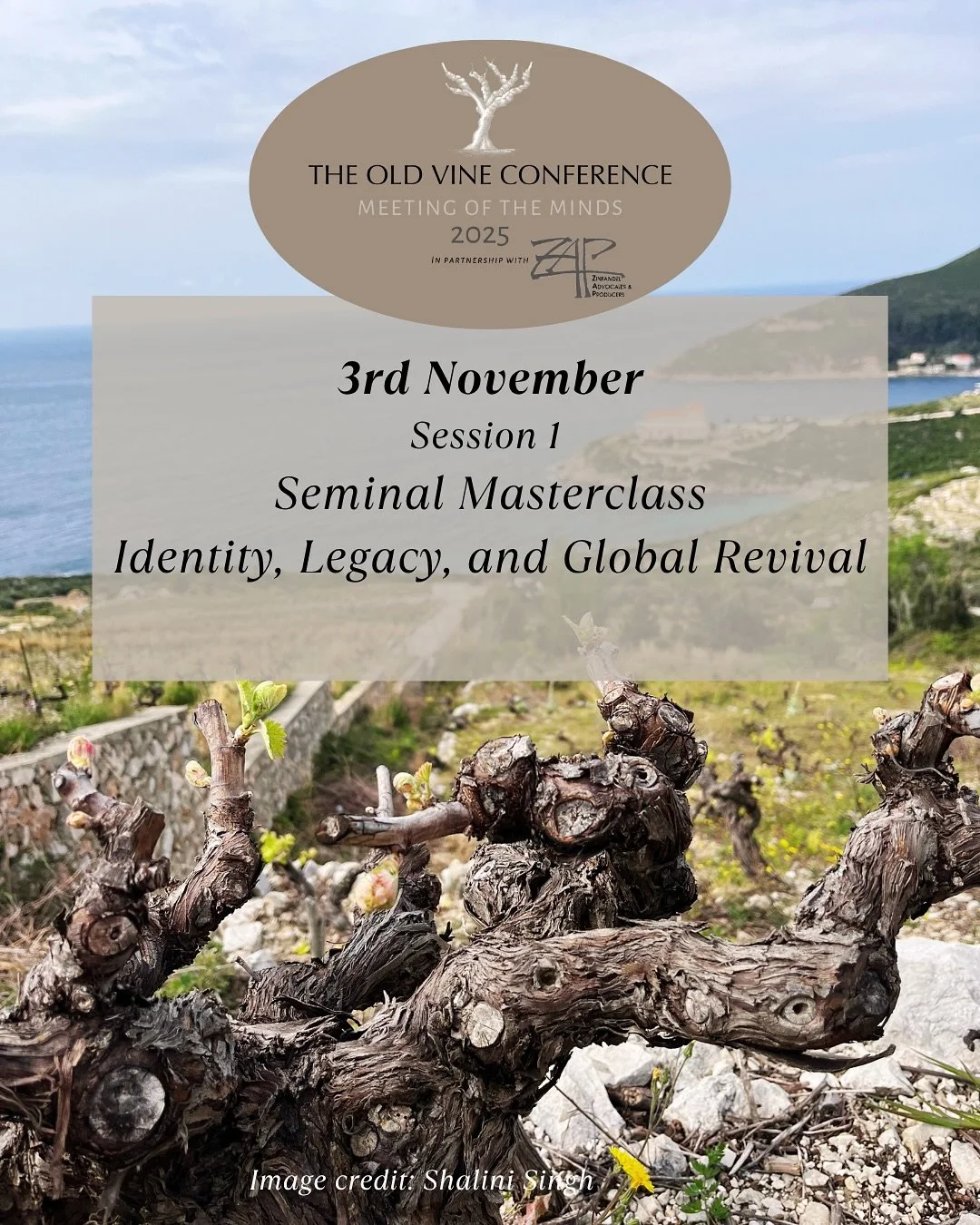 The conference day on 3rd November will be held in Lodi, with live-streaming starting at 1.50 pm PST.

🍇 The first session will focus on Identity, Legacy, and Global Revival.

A session exploring the multifaceted story of Zinfandel &mdash; from its 