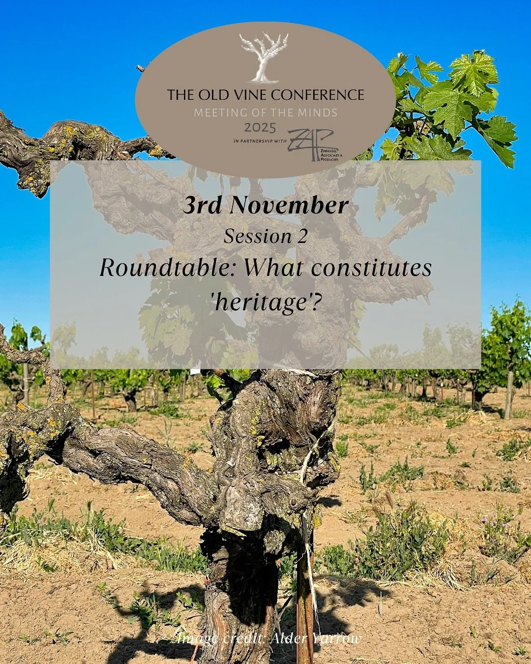 3rd November, 3:15 PM PST, Lodi
🍷 Heritage Debate: What Constitutes ‘Heritage’?
The penultimate session at the #OVC2025 will be an interactive roundtable exploring one of wine’s most intriguing questions — how do we define