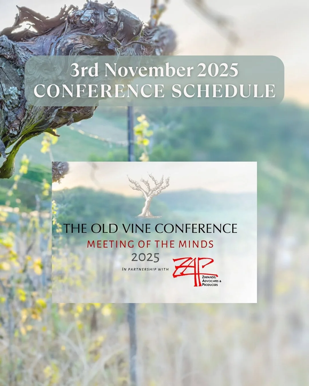 🍷 Full schedule of Day 2 of #OVC2025 – 3rd November : Insights & Inspiration in Lodi
From exploring Zinfandel’s global identity to debating what truly defines heritage and uncovering the evidence of age through data and sustainabili