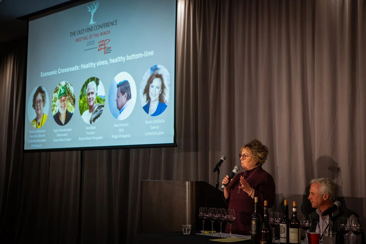 1st Nov_Becky Robinson_ZAP_Zinfandel_economic crossroads panel.jpg