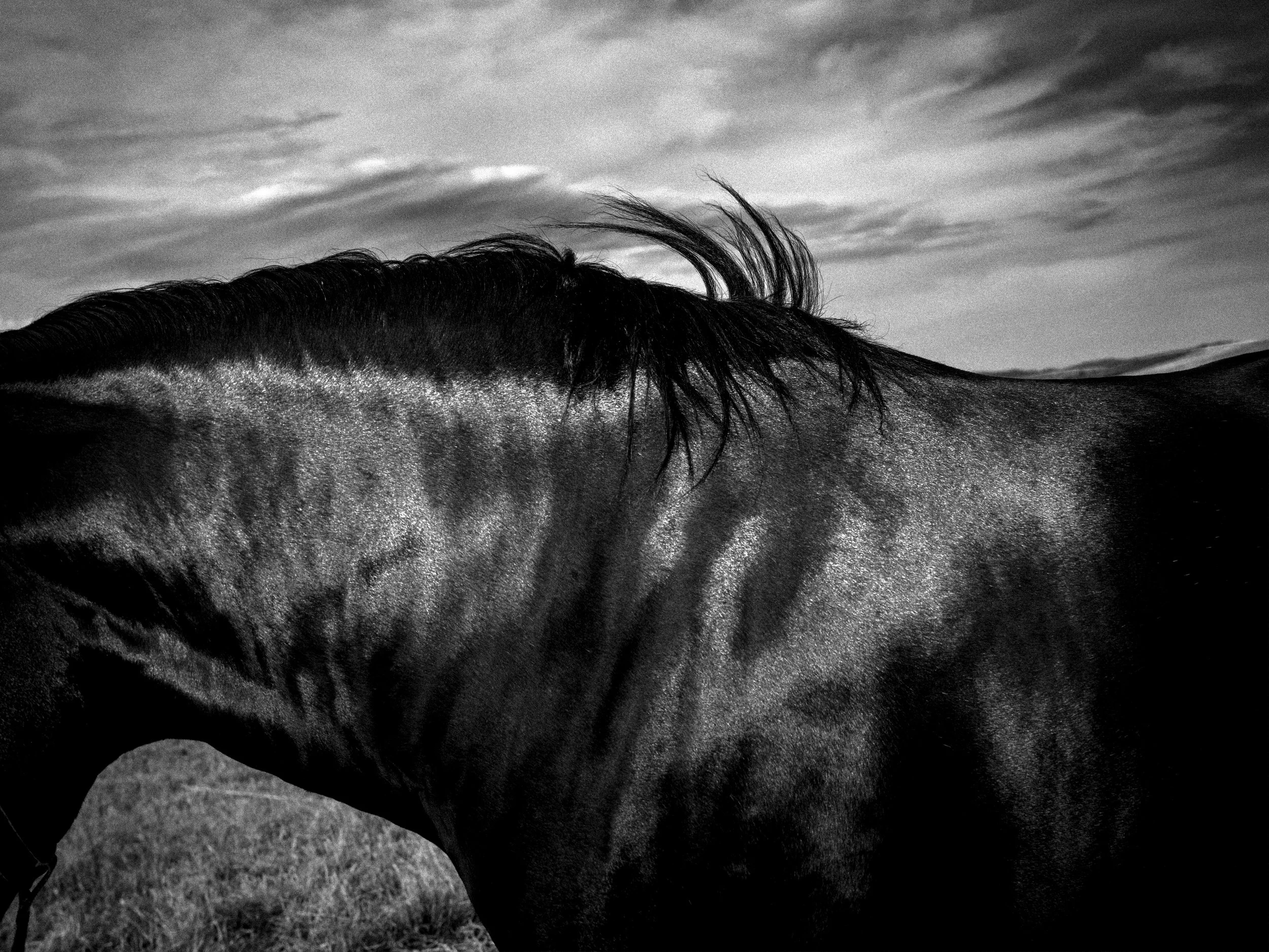 PAROS FARMING COMMUNITY, PAROS island, GREECE