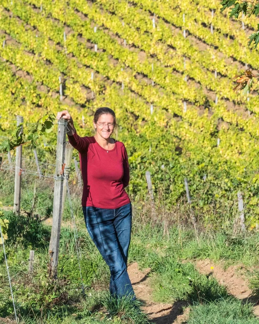 We&rsquo;re honoured to welcome Kathleen Van den Berghe MW of the Loire Valley, France, as a new member of the Old Vine Conference.✨

Since 2010, Kathleen has devoted her work to the preservation, understanding, and expression of old vines&mdash;not 
