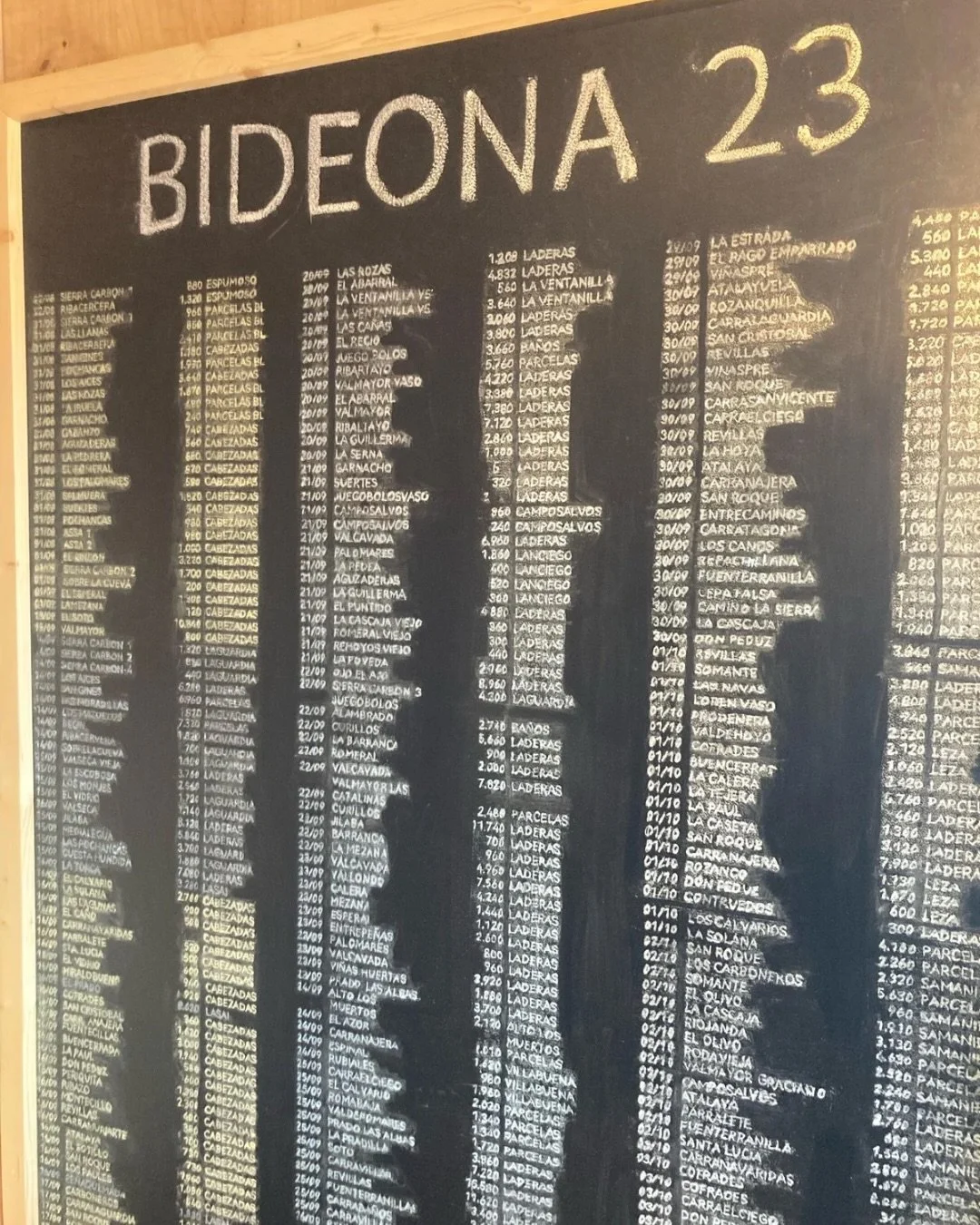 300 plots. Old vines dating back to the 1920s. Minimal oak. Maximum identity. Rioja in a different light.✨

At Bodegas Bideona, field blends, mixed plantings and ungrafted vines tell a story that Rioja&rsquo;s classifications often miss. From Mayela 