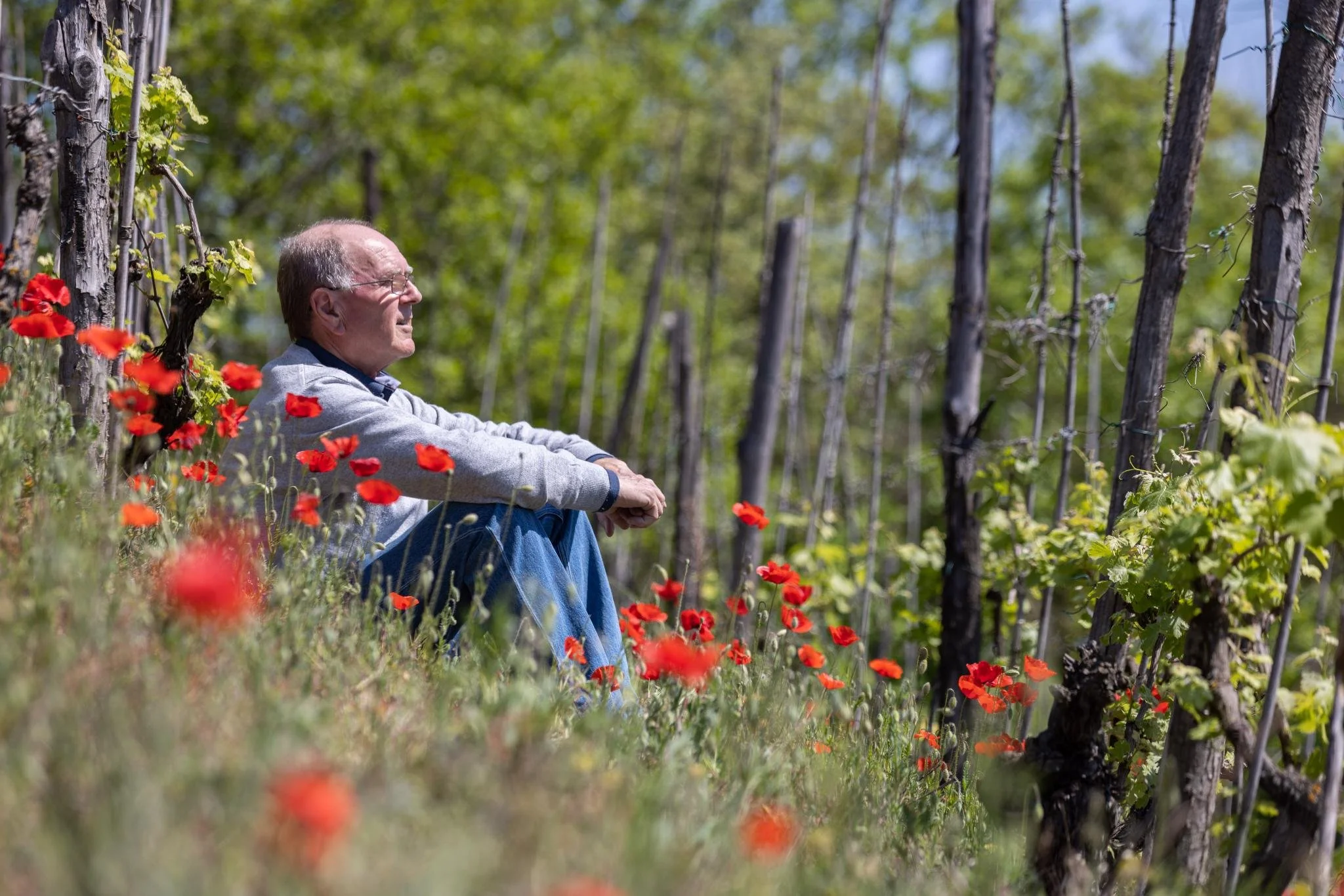 VINCHIO VAGLIO’s LATEST NEWS