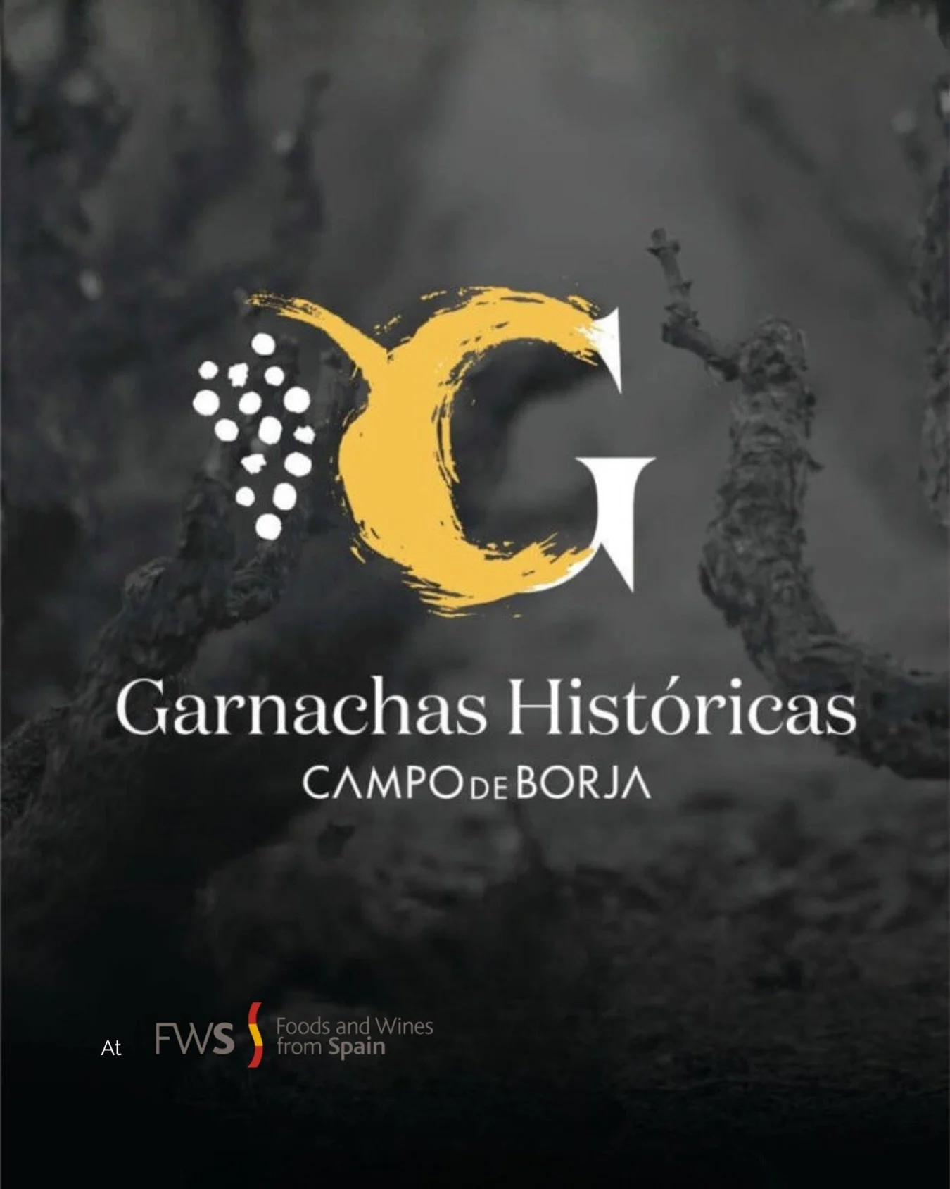 HISTORIC GARNACHA TASTING

Taste Spain, London
⏱️24th February 2026, 14.15 GMT
📍Mare Street Market, King&rsquo;s Cross

The Old Vine Conference Regional Ambassador for Spain, Anna Harris-Noble, will deliver a masterclass entitled &ldquo;Historic Gar