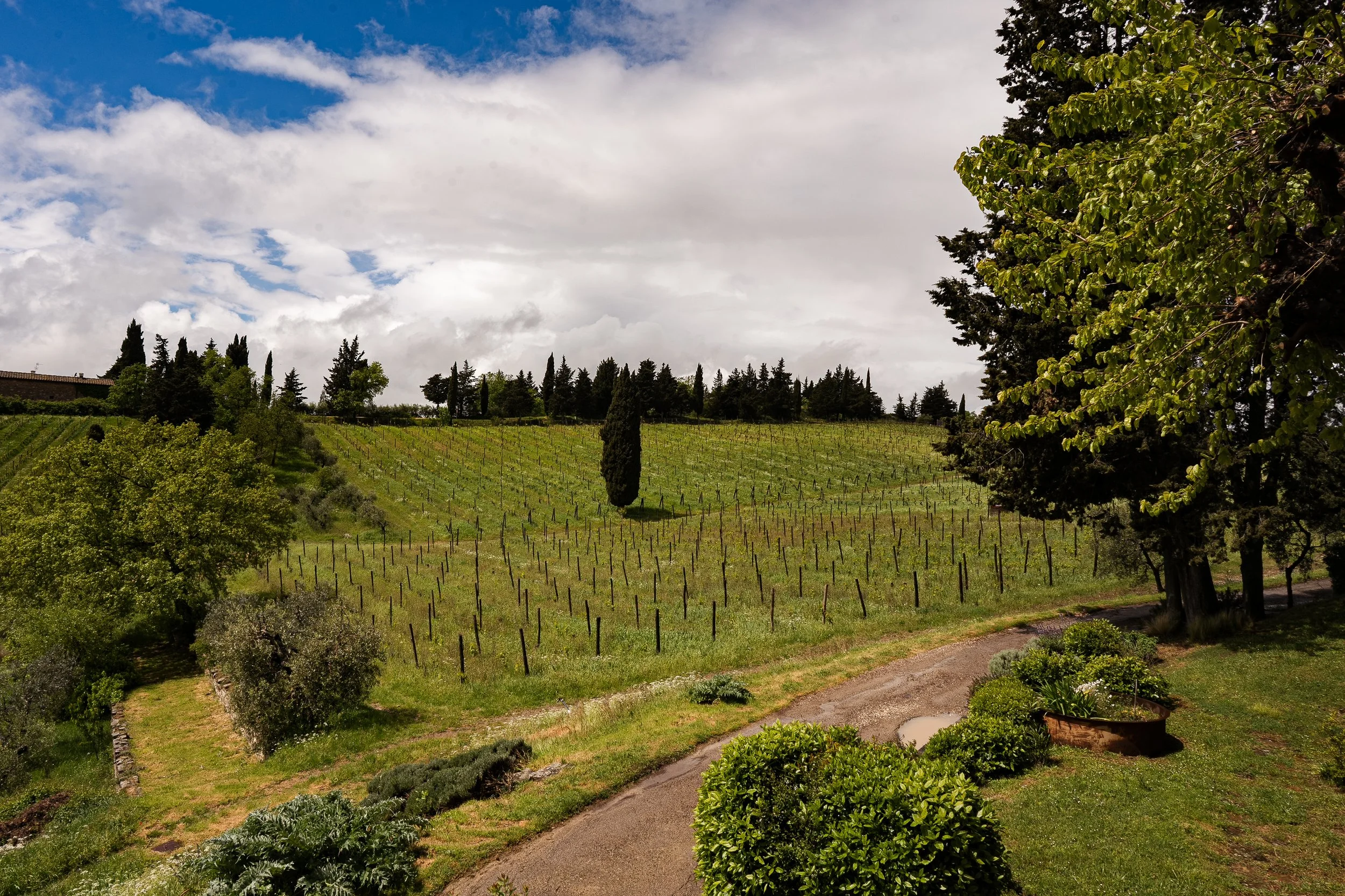 Vecchie Terre di Montefili, Chianti Classico, Tuscany, Italy