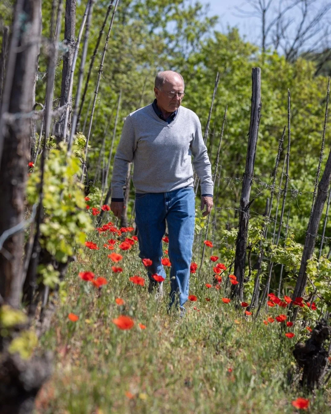 Old vines, steep hills, and a cooperative that has quietly transformed Barbera in Piedmont.

Under President Lorenzo Giordano, @vinchiovaglio now bottles 100% of its production, earning recognition from Gambero Rosso, Decanter, IWSC and more. At its 
