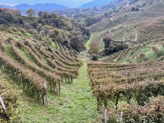 The Heroic Viticulture of Conegliano Valdobbiadene DOCG