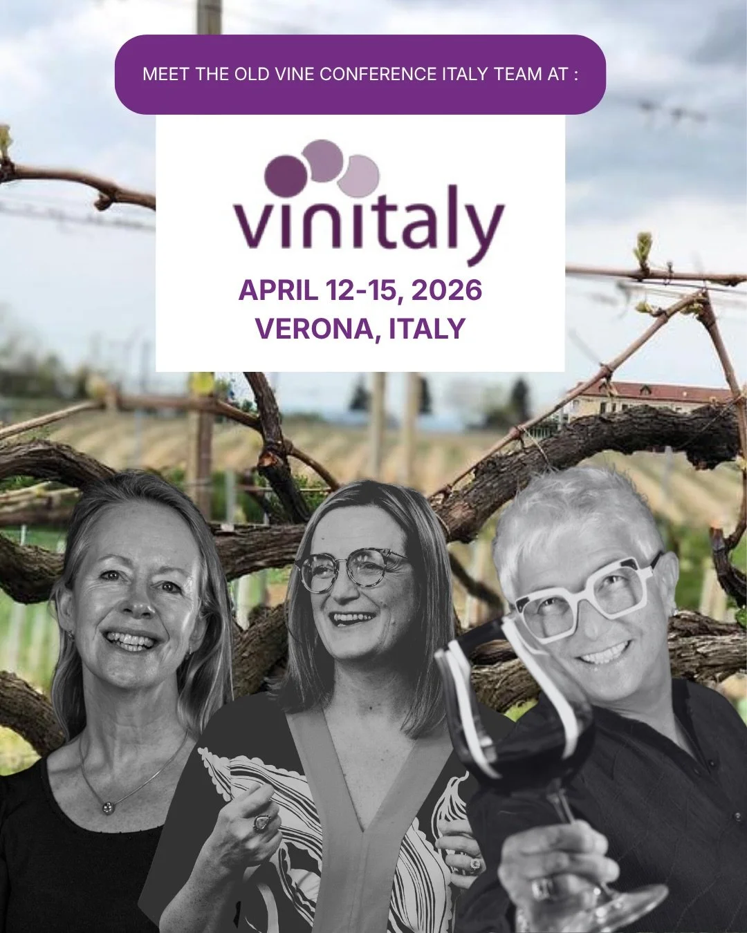 Come meet us at Vinitaly 2026!

The Old Vine Conference will be at Pavilion 10, Stand M4, kindly hosted by D.G. Vajra, from 12&ndash;15 April. Join us to explore conversations around resilience, wine research, and the future of viticulture, with a fo