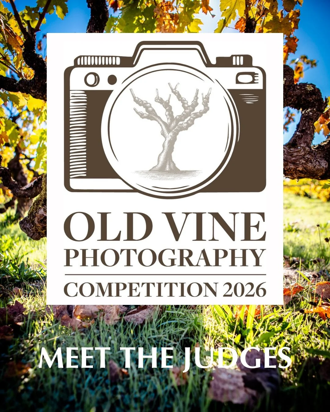 MEET THE JUDGES✨

We&rsquo;re proud to introduce the judges for the inaugural Old Vine Photography Competition - a group of leading voices across photography, wine, and visual storytelling, each bringing a distinct perspective to what defines a compe