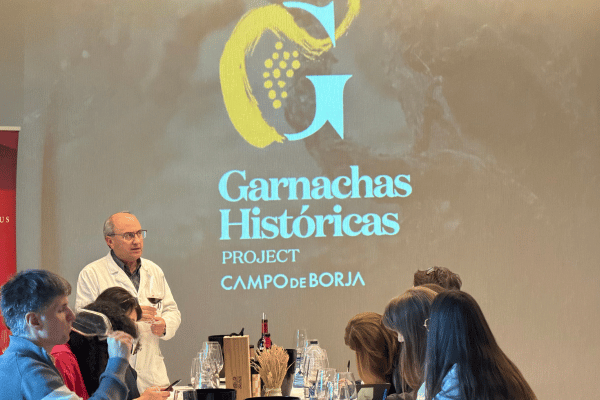 Old Vine Garnacha and the distinctive terroir of DO Campo de Borja&nbsp;
