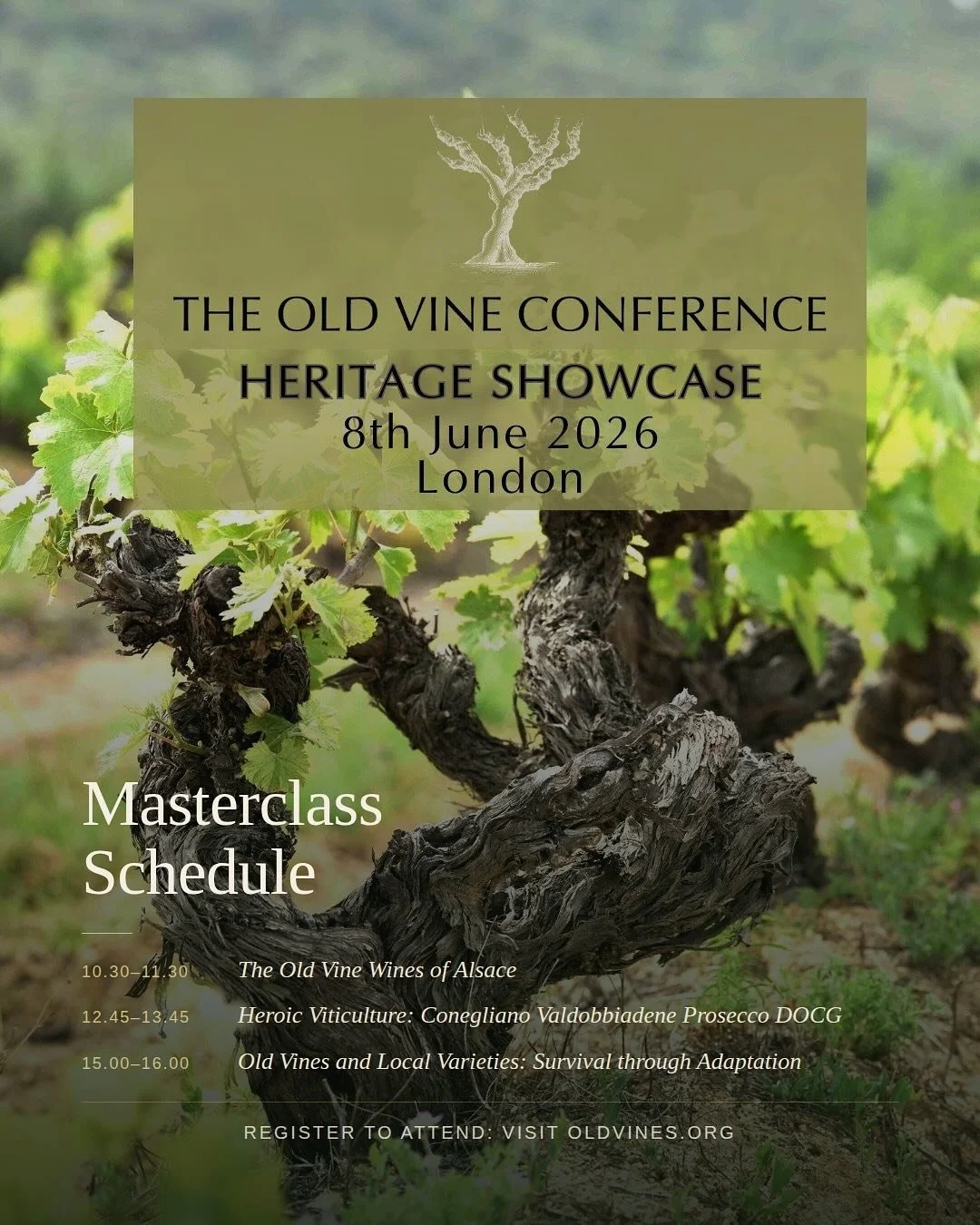Registration for the masterclasses at the Old Vine Conference Heritage Showcase is open!

Taking place on 8th June 2026 at St John&rsquo;s, Waterloo, London, the showcase will bring together one of the world&rsquo;s largest tastings of old-vine wines