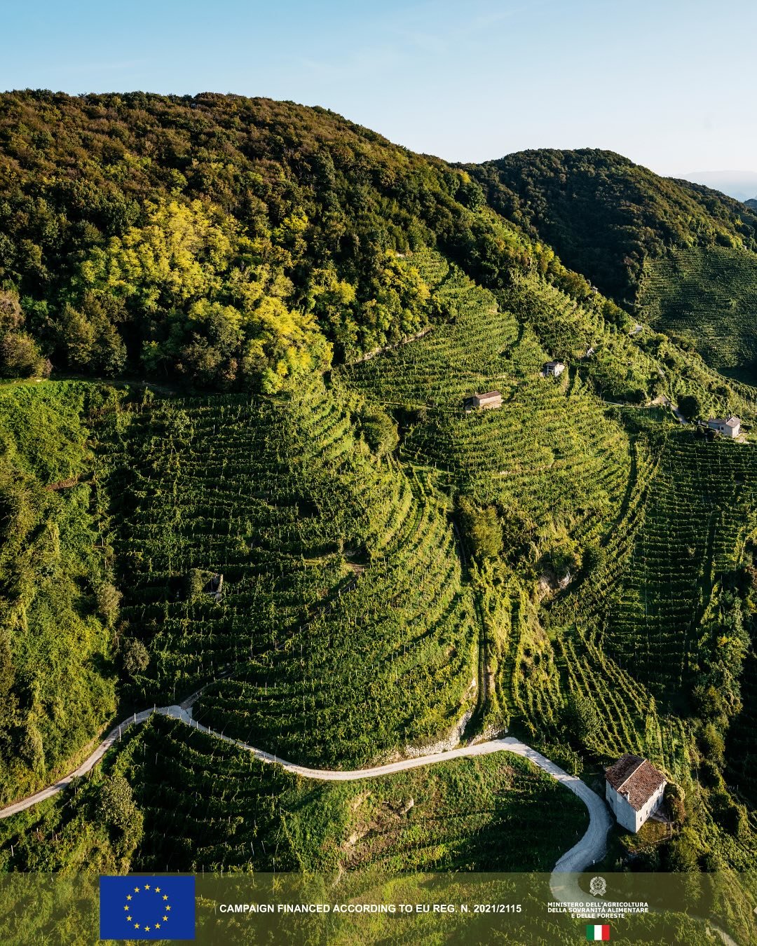 In the undulating mosaic of northeastern Veneto, few landscapes articulate the meaning of heroic viticulture as convincingly as Conegliano Valdobbiadene Prosecco. Here, heroism is defined not by romance, but by measurable constraint: slopes can excee