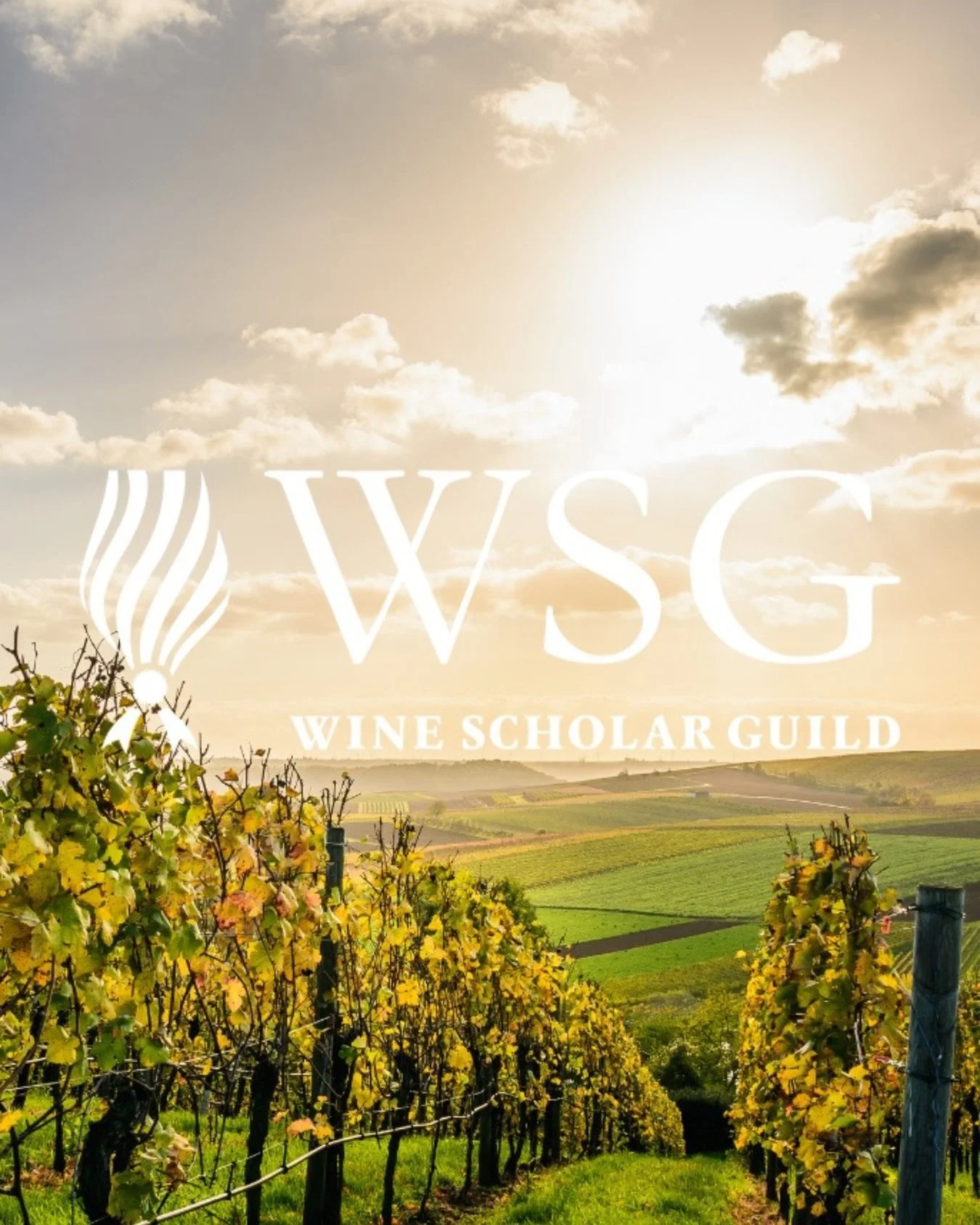 We are grateful for Wine Scholar Guild&rsquo;s continued support as an education partner of the Old Vine Conference.

Since 2005, WSG has set the benchmark for wine education, offering in-depth programs, certifications, and immersive experiences focu