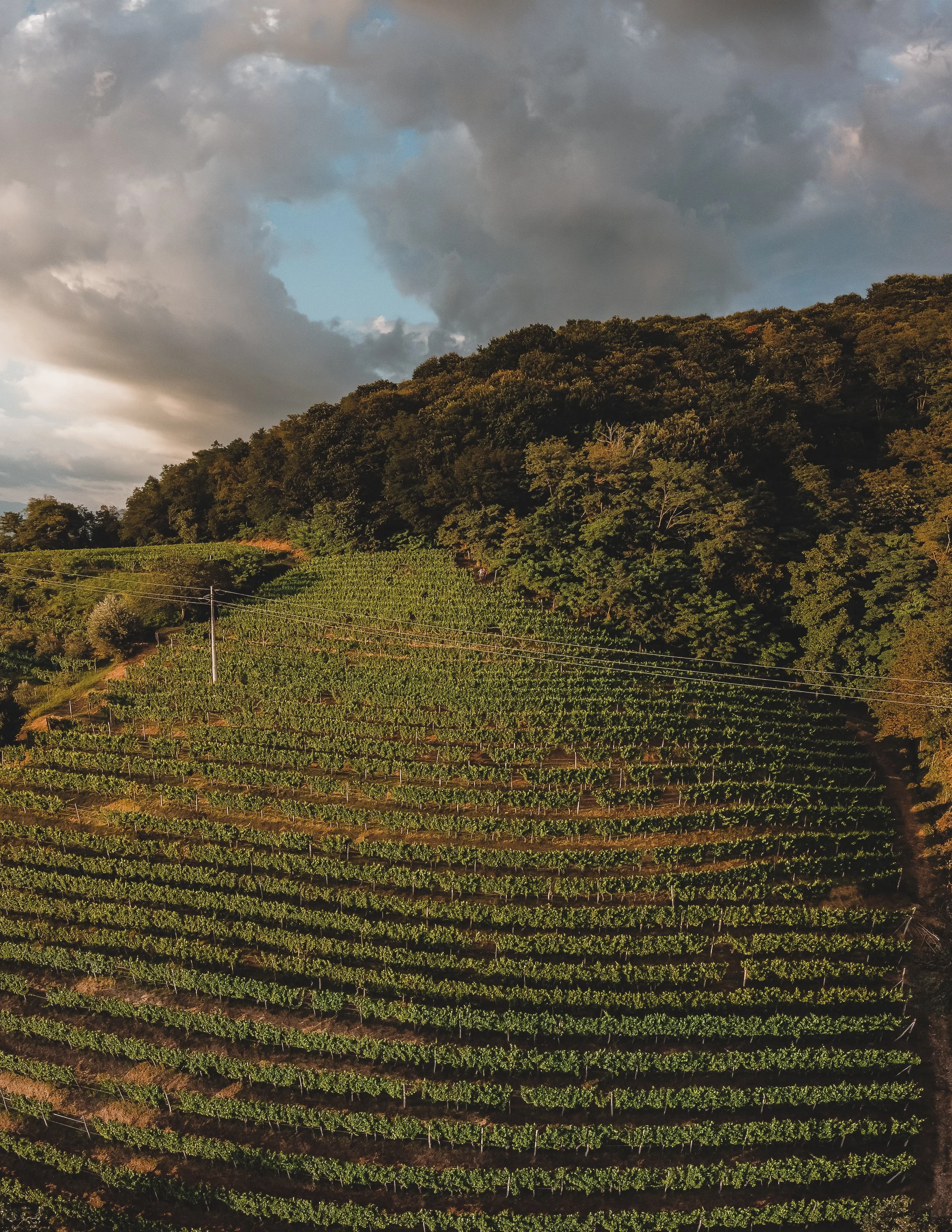 DJI_0496-Pano.jpg