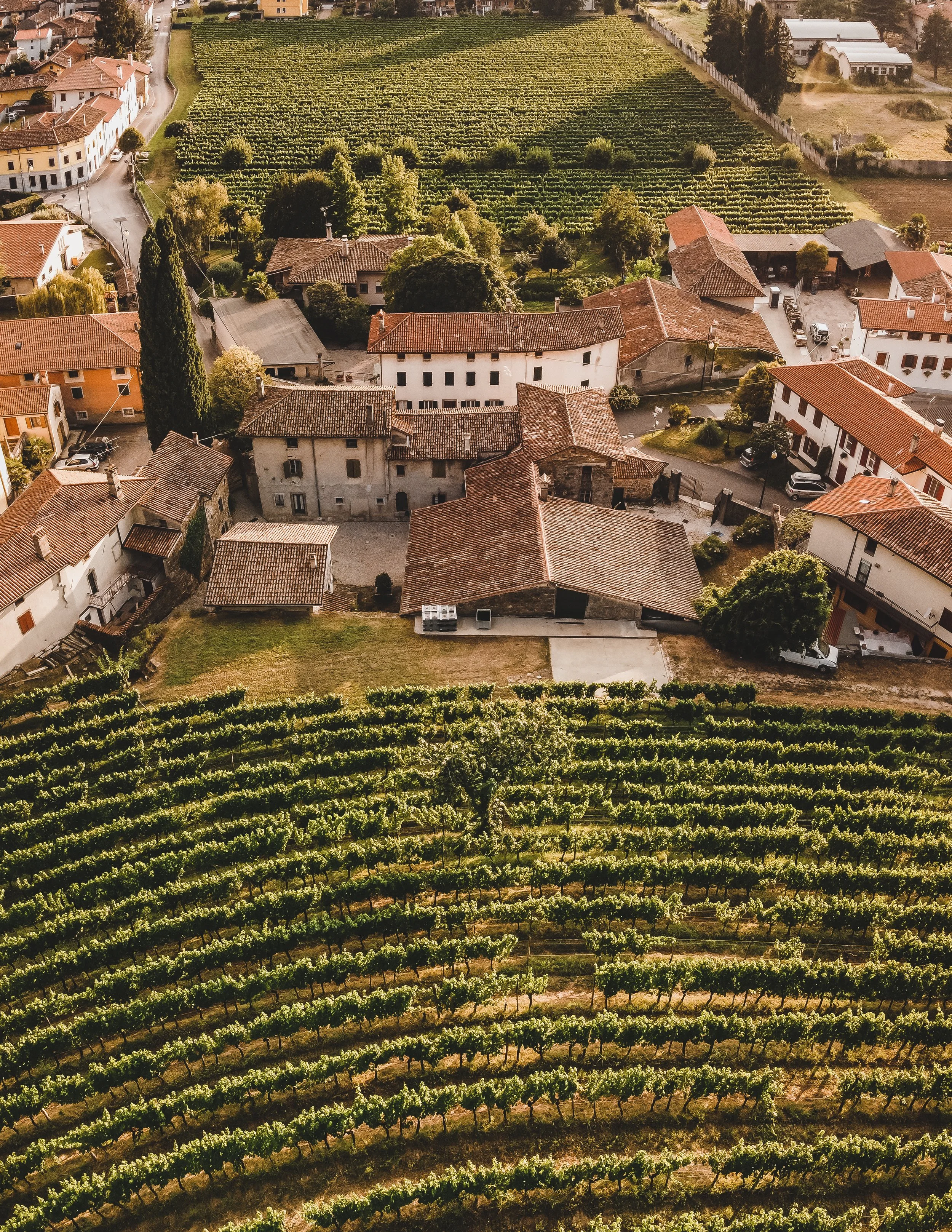 DJI_0509-Pano.jpg