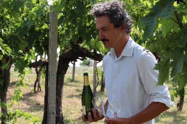 Azienda Agricola Faraone, Abruzzo, Italy