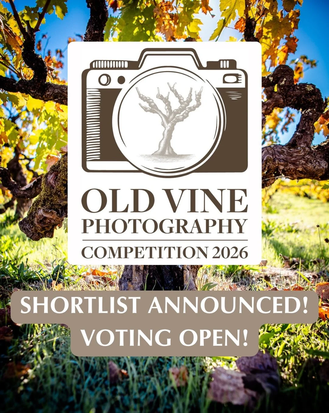 THE SHORTLIST IS LIVE &amp; VOTING IS NOW OPEN!

The moment we&rsquo;ve been waiting for has arrived! 

The shortlisted photographs for the inaugural Old Vine Photography Competition are now online, and it&rsquo;s time for you to help choose the winn