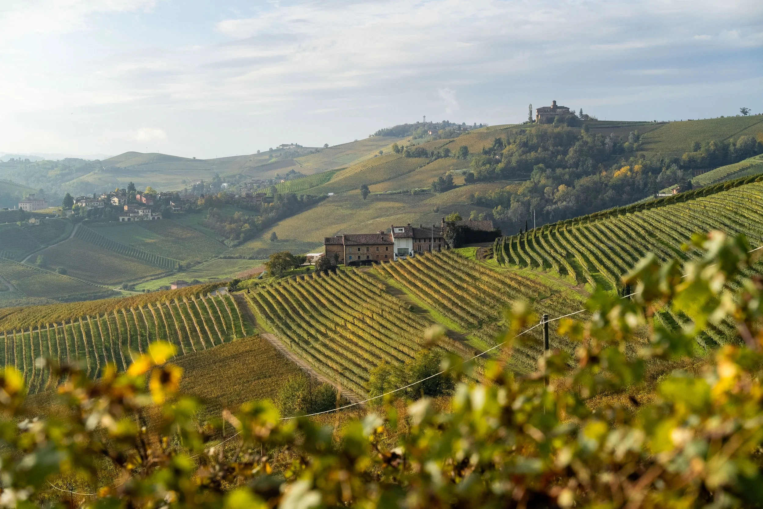 Poderi Marcarini, DOCG Barolo, Piedmont, Italy 