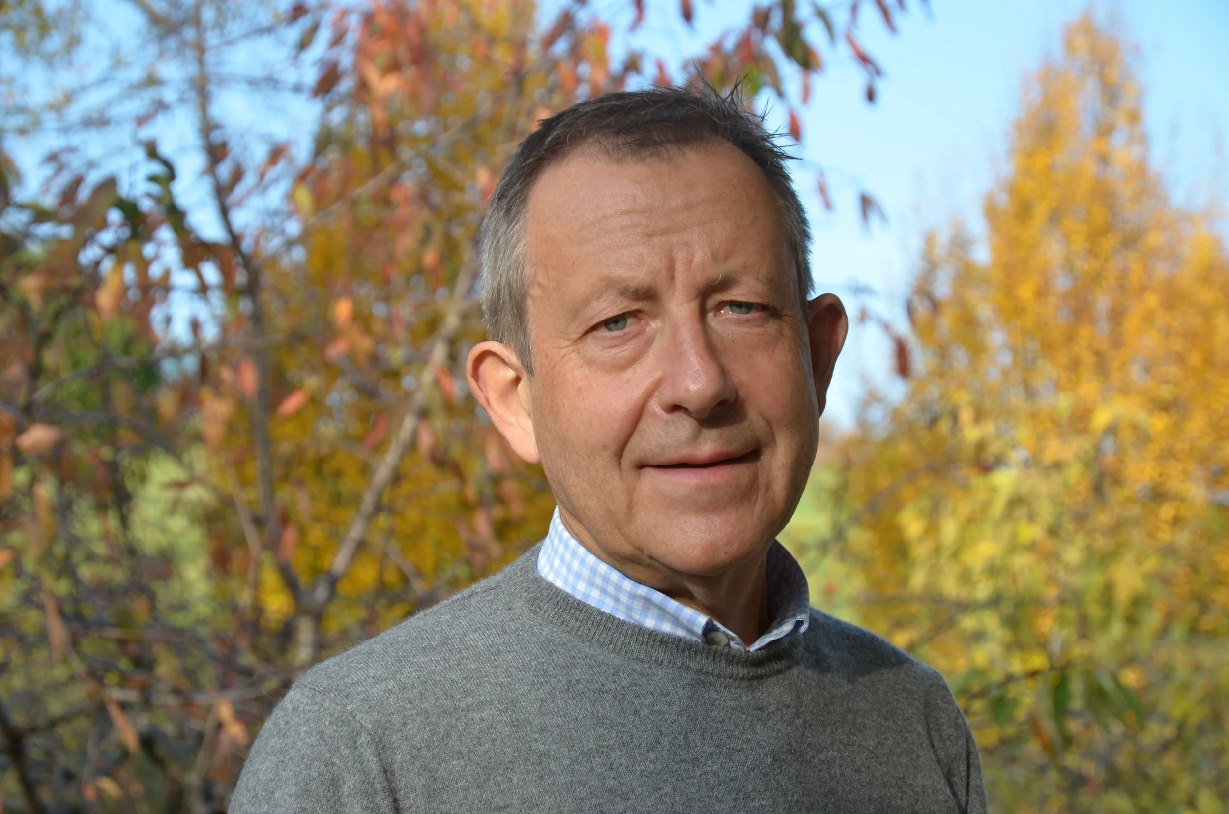Diego Tomasi