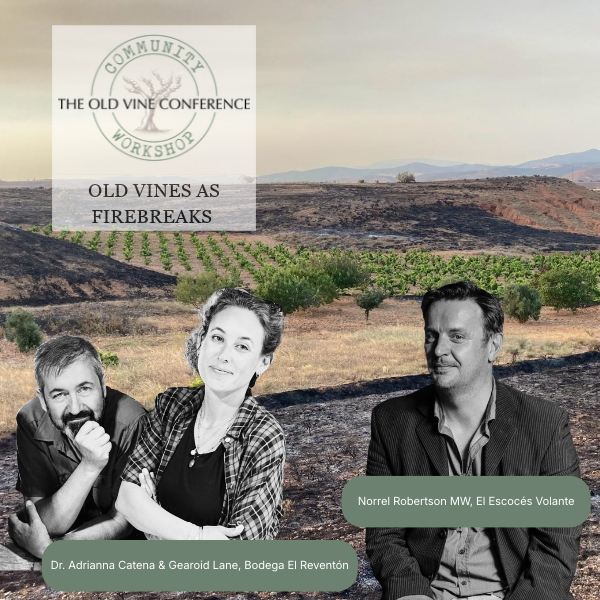 OVC Community Workshop: Old Vines & Wildfires