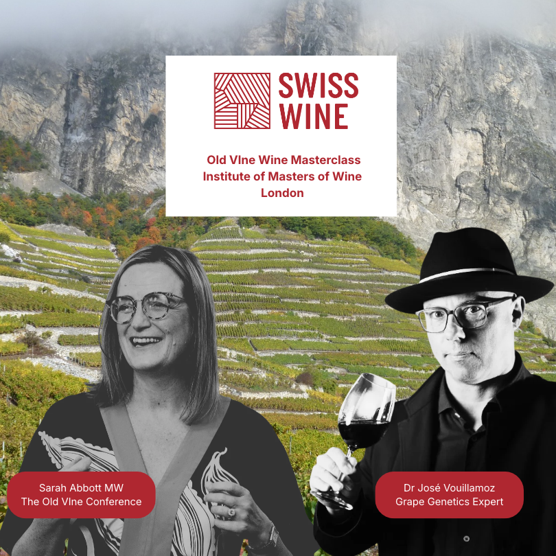 Masterclass – Age-worthy Old Vine Wines of Switzerland