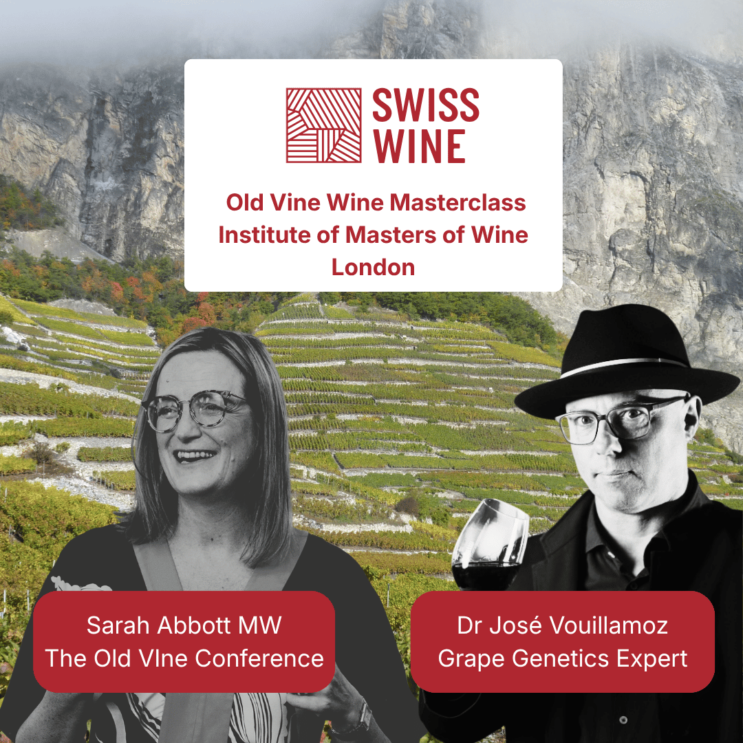 Masterclass – Age-worthy Old Vine Wines of Switzerland