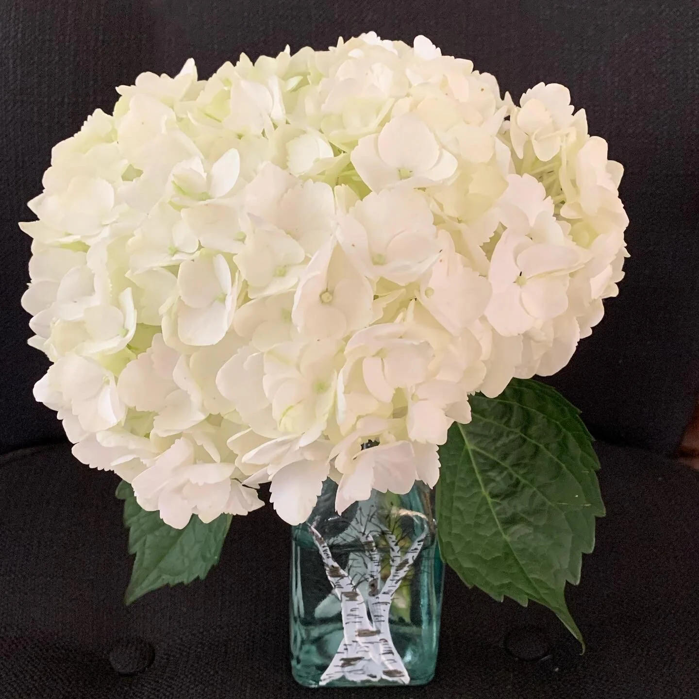 Patty&#39;s Floral Designs and Events